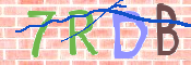 CAPTCHA-Bild